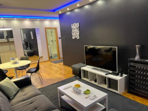 Apartment Vračar